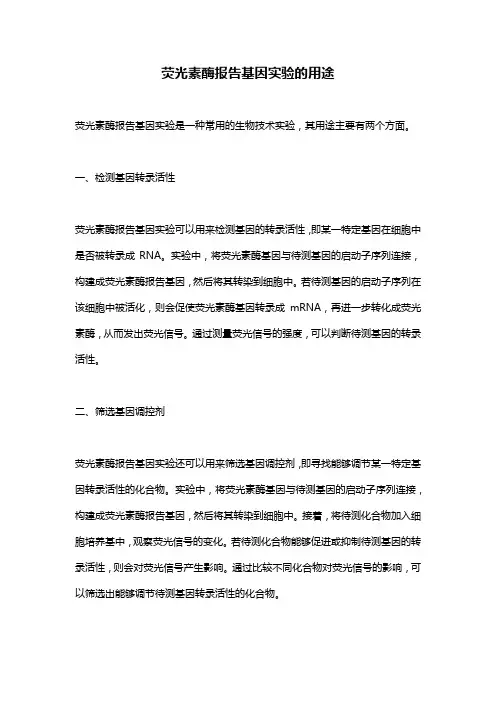 荧光素酶报告基因实验的用途