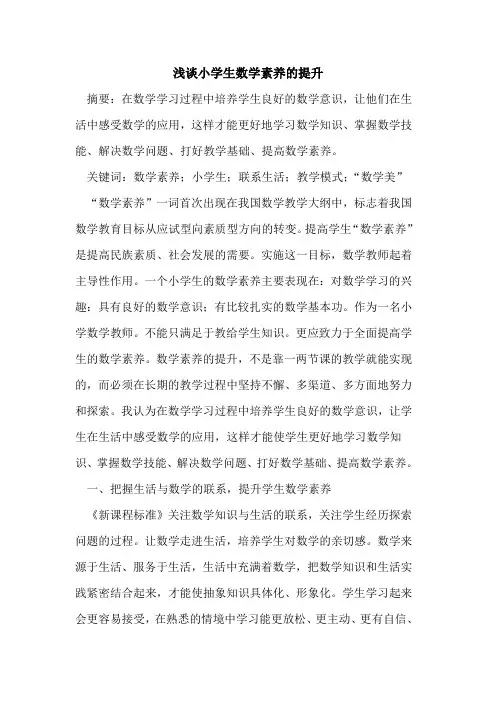 小学生数学素养的提升