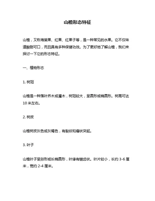 山楂形态特征