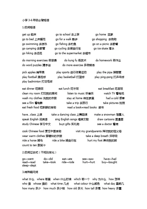 2023年人教版小升初总复习小学英语3-6年级必背短语