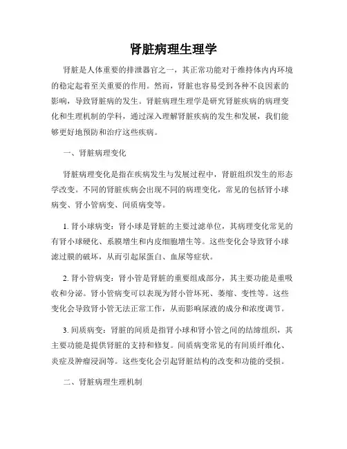 肾脏病理生理学