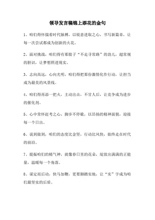 领导发言锦上添花的金句