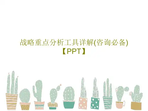 战略重点分析工具详解(咨询必备)【PPT】125页PPT
