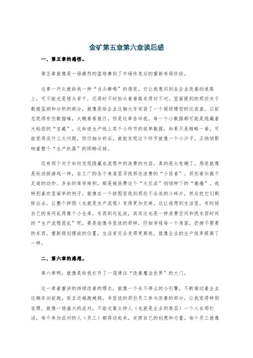 金矿第五章第六章读后感
