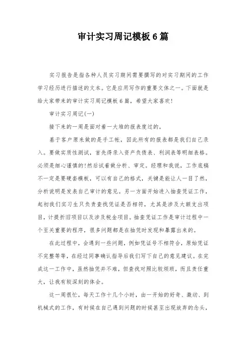 审计实习周记模板6篇