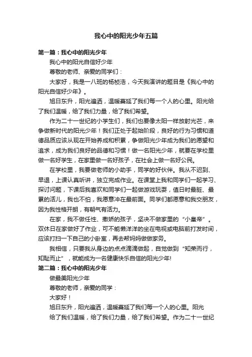 我心中的阳光少年五篇