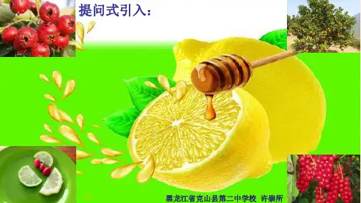 10-1-2常见的酸及酸的通性