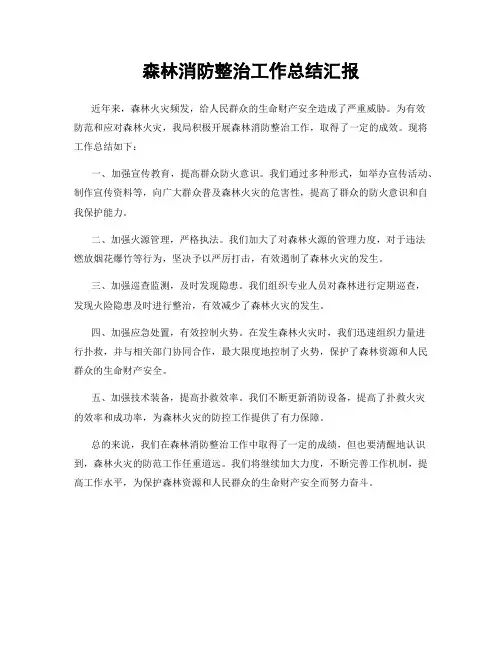 森林消防整治工作总结汇报