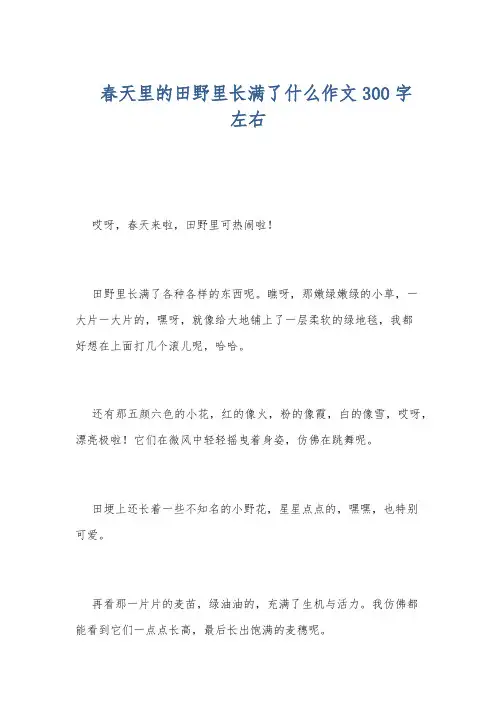 春天里的田野里长满了什么作文300字左右