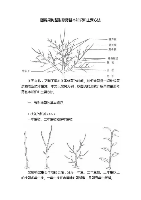 图说果树整形修剪基本知识和主要方法