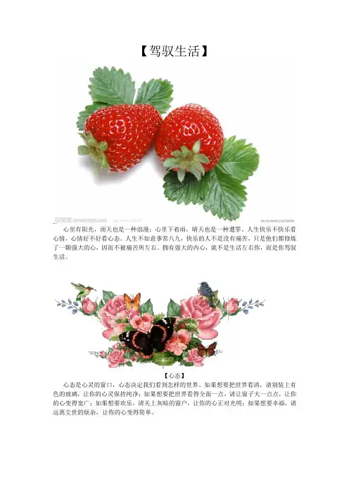 驾驭生活
