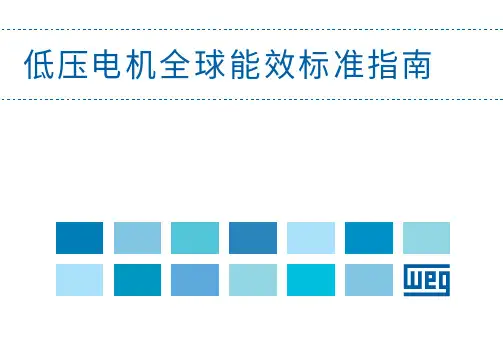 WEG 低压电机全球能效标准指南说明书