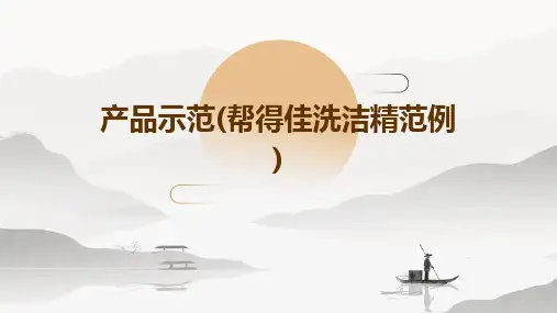 产品示范(帮得佳洗洁精范例)