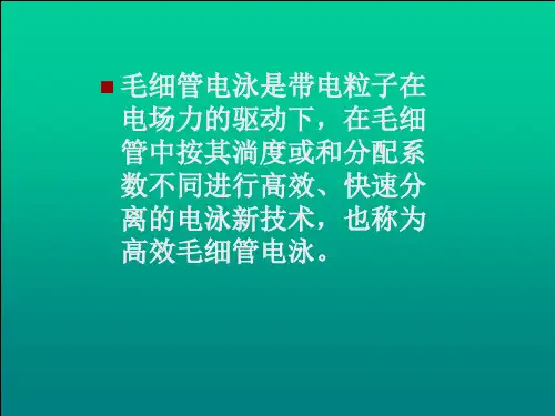 7.2毛细管电泳法