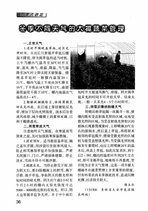 冬季不同天气的大棚蔬菜管理