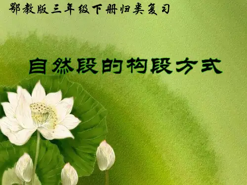 自然段的构段方式ppt课件