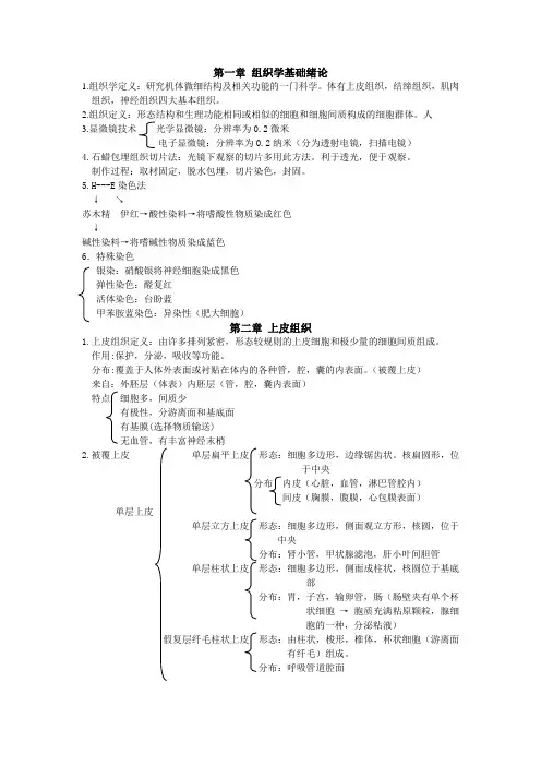 组织胚胎学重点整理