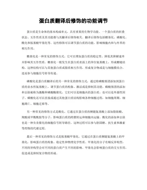 蛋白质翻译后修饰的功能调节
