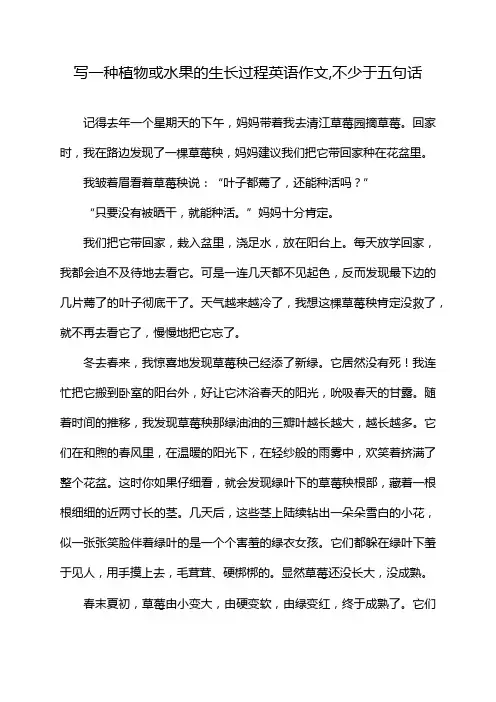 写一种植物或水果的生长过程英语作文,不少于五句话