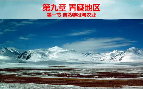人教版地理八年级下 册9.1青藏地区自然特征与农业  (共17张PPT)