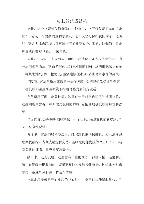 皮肤的组成结构