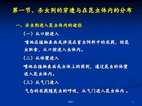 第三章-杀虫剂PPT课件