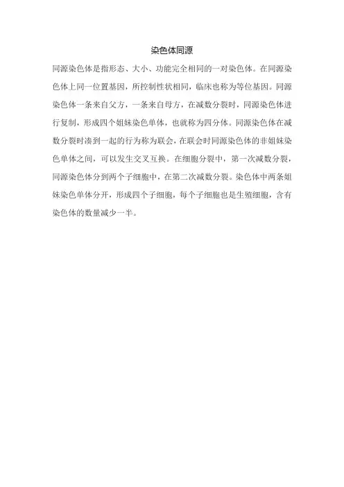 染色体同源