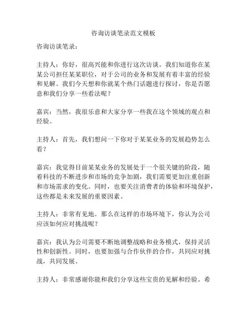咨询访谈笔录范文模板
