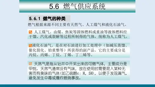 供暖及燃气供应系统—燃气供应系统