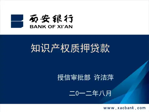 《知识产权质押贷款》(徐洁萍)