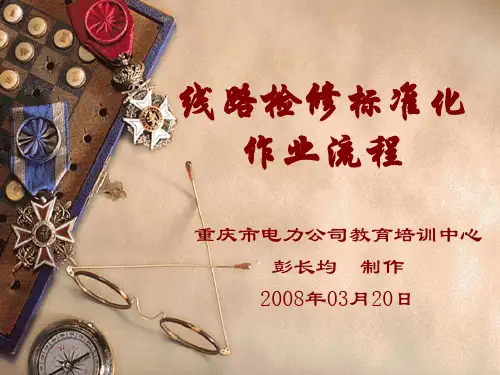 线路检修标准化作业流程 (07-04-11)