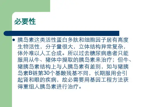 胰岛素的制备