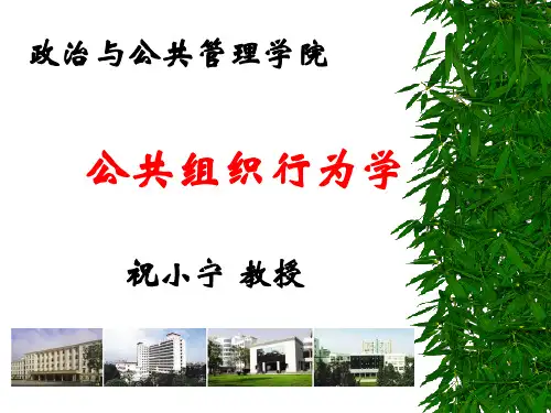 公共组织及组织行为学