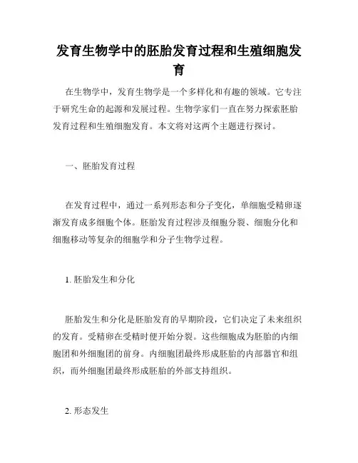 发育生物学中的胚胎发育过程和生殖细胞发育
