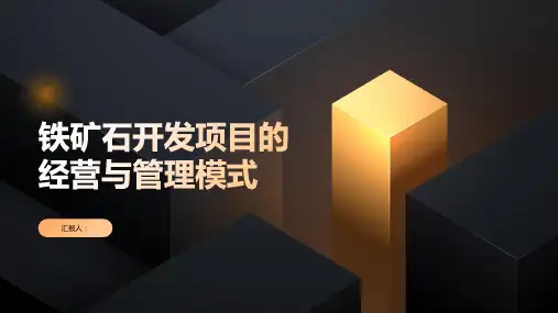 铁矿石开发项目的经营与管理模式