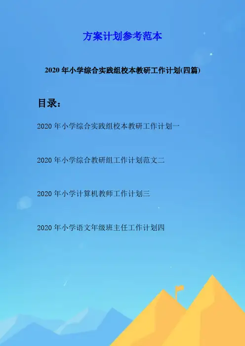 2020年小学综合实践组校本教研工作计划(四篇)