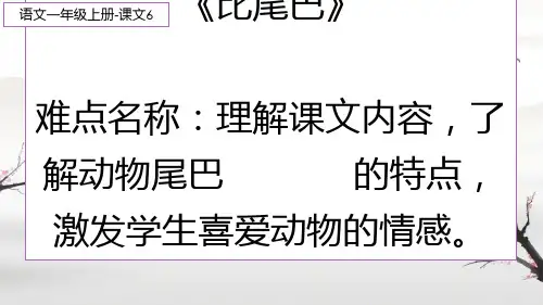 比尾巴   课件(共31张PPT)