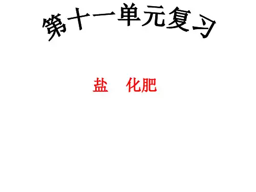 盐、化肥复习PPT课件