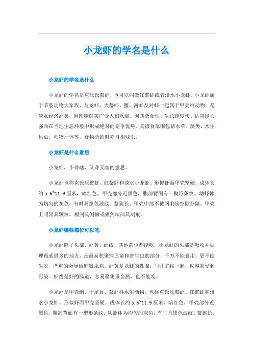 小龙虾的学名是什么