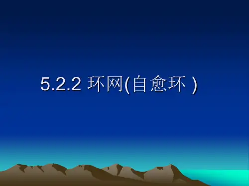 sdh环网