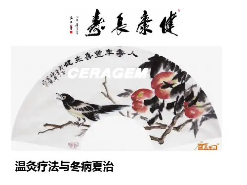 冬病夏治.ppt