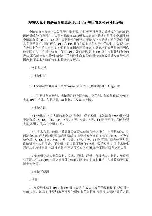 观察大鼠全脑缺血后脑组织Bcl-2 Fas基因表达相关性的进展