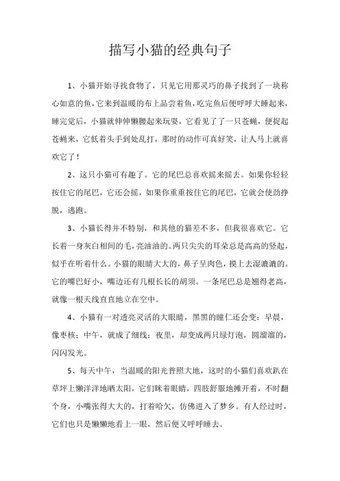 描写小猫的经典句子