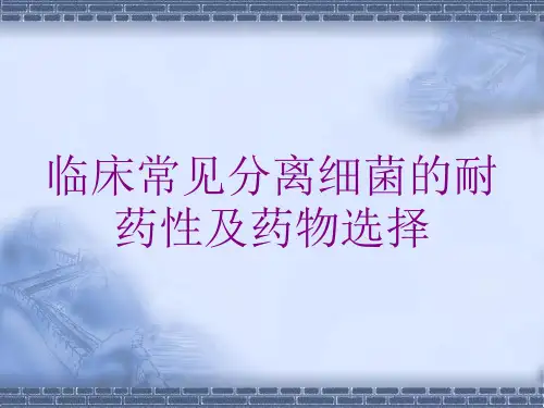 临床常见分离细菌的耐药性及药物选择