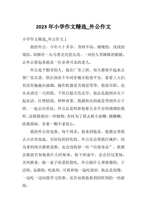 2023年小学作文精选_外公作文