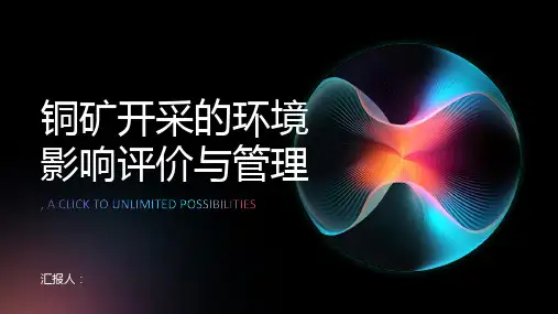 铜矿开采的环境影响评价与管理