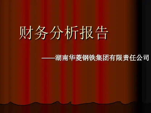 财务分析PPT案例