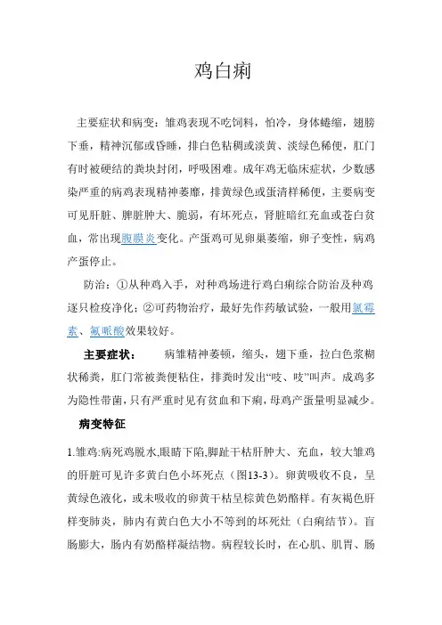 鸡 白痢