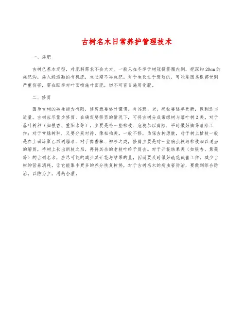 古树名木日常养护管理技术