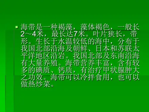 海带的营养价值PPT课件